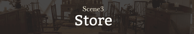 Scene3 Store